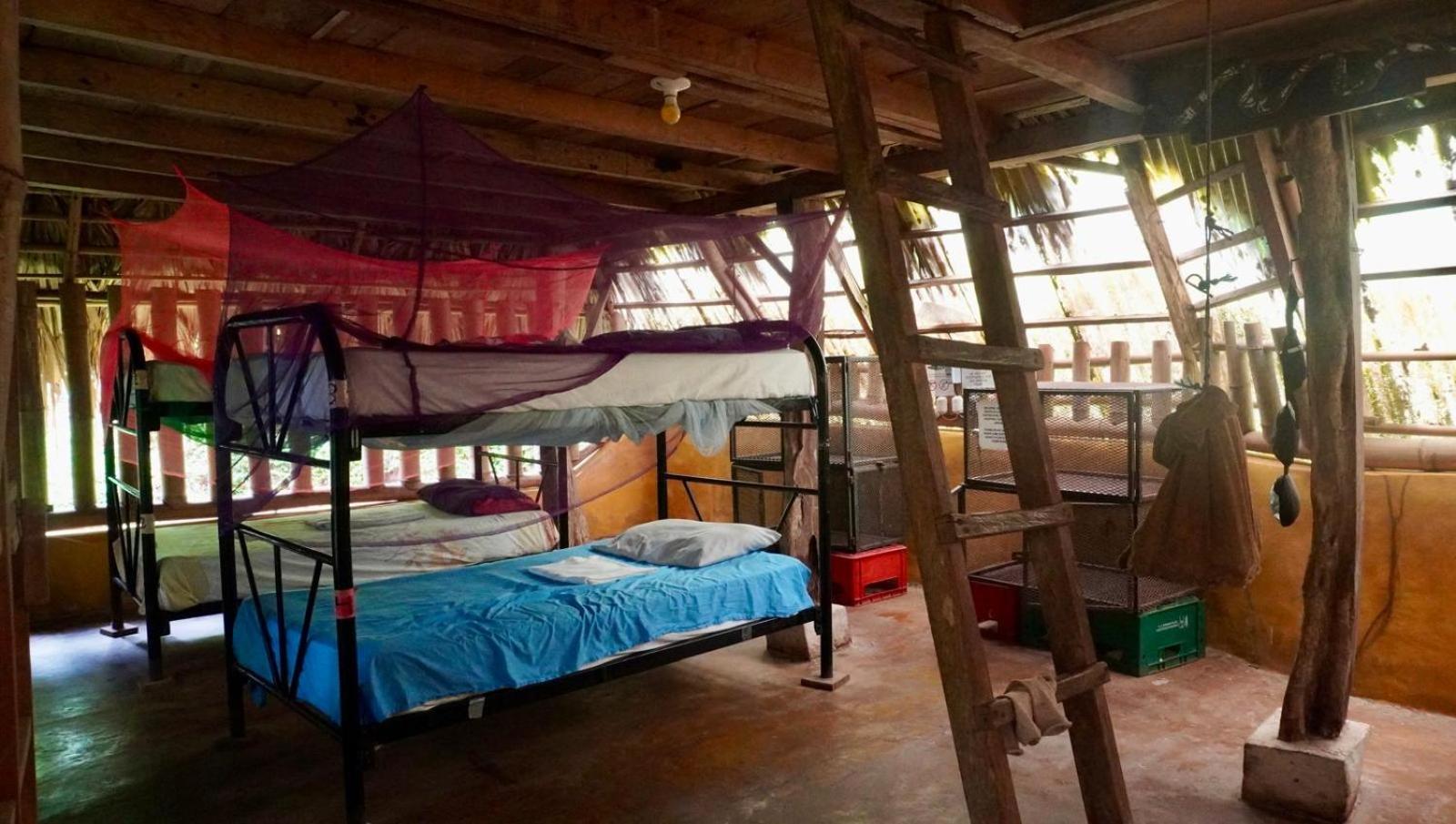 Hostel El Zopilote Balgue Pokój zdjęcie